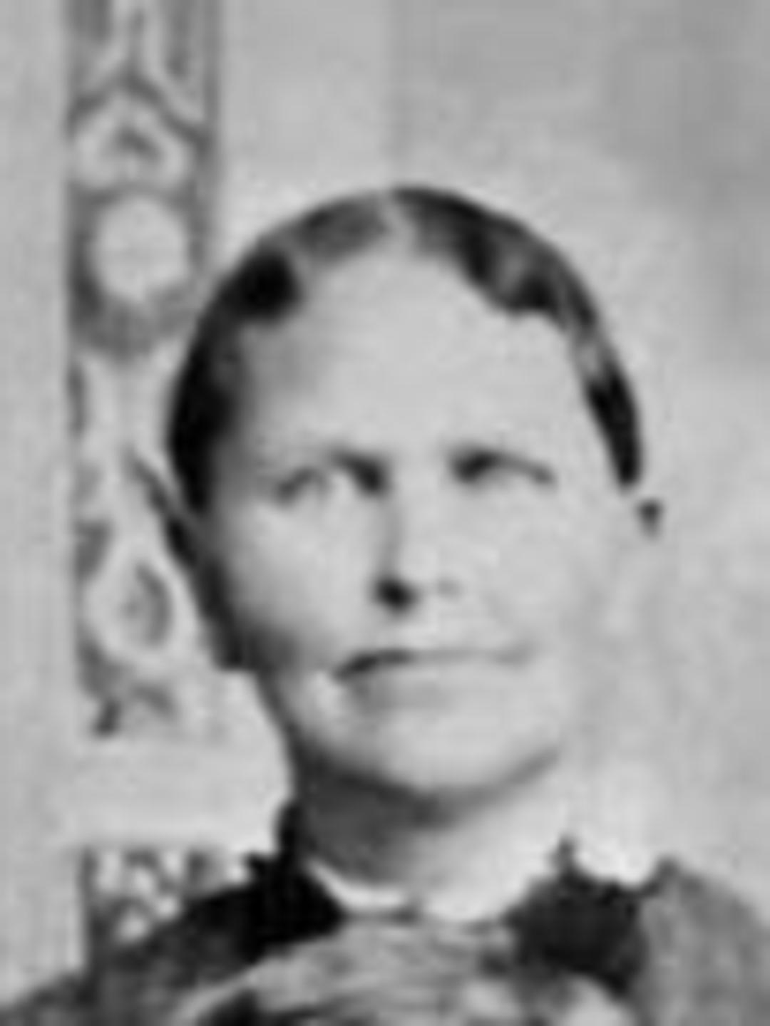 Sarah Alvira Standley (1844 - 1924) Profile